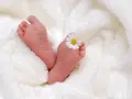 Piccoli piedini di neonato su soffice coperta bianca, con un fiore di margherita posato su un dito del piede. Il riflesso di Babinski è visibile.