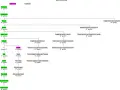 Diagramma che illustra i gradi di parentela: i cugini di secondo grado sono figli di zii o cugini primi, a 5° grado.