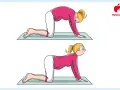 Donna incinta esegue posizioni di yoga in gravidanza: schiena inarcata e poi inarcata verso il basso, per rilassare la colonna vertebrale.