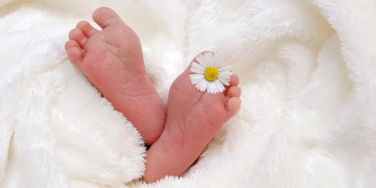 Piccoli piedini di neonato su soffice coperta bianca, con un fiore di margherita posato su un dito del piede. Il riflesso di Babinski è visibile.