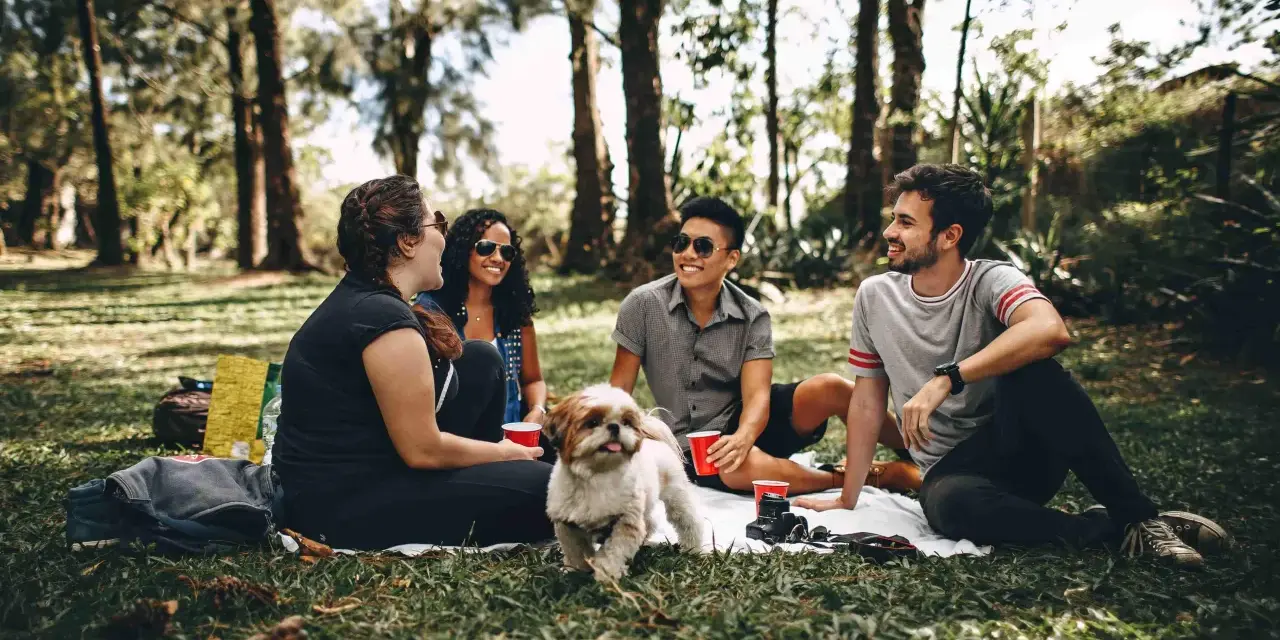 Un gruppo di amici fa un picnic nel parco, un cane bianco e marrone si avvicina. Uno dei ragazzi, sicuro di sé, ride con gli altri.