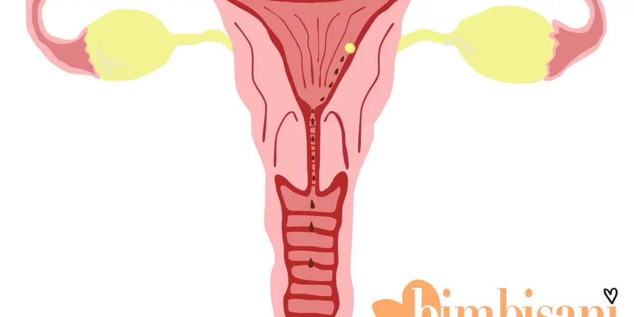 Utero con ovuli e piccole perdite marroni, possibili perdite da impianto quanti giorni prima del ciclo.