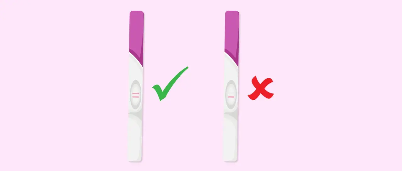 Test di gravidanza: due linee rosa indicano un risultato positivo, un metodo infallibile per capire se sei incinta. Una linea rosa indica un risultato negativo.