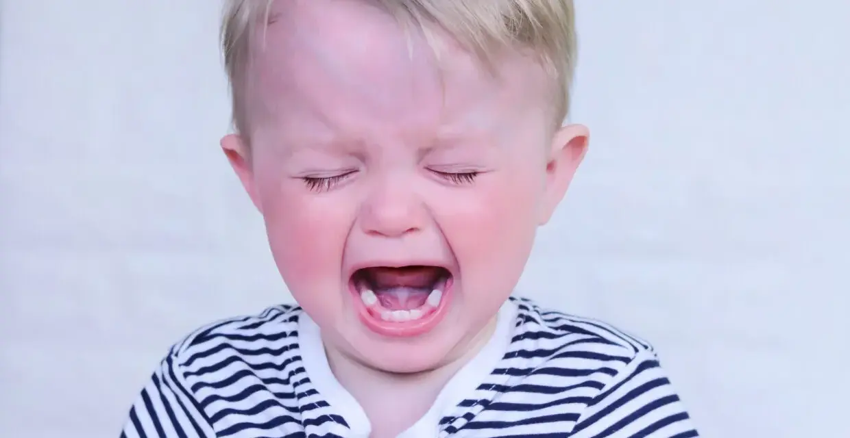 Bambino di 2 anni con capelli biondi, occhi chiusi e bocca spalancata in un pianto disperato, tipico dei capricci continui. Indossa una maglietta a righe.