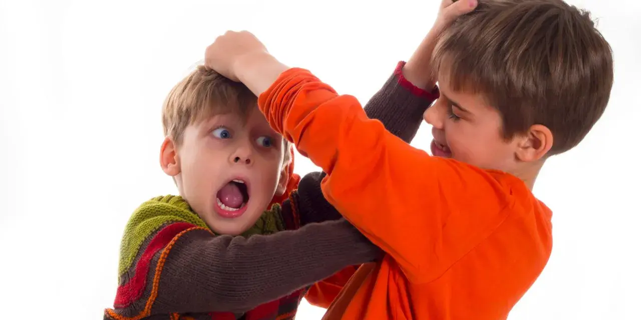 Due bambini che litigano, uno afferra i capelli dell'altro con espressione sorpresa e spaventata.