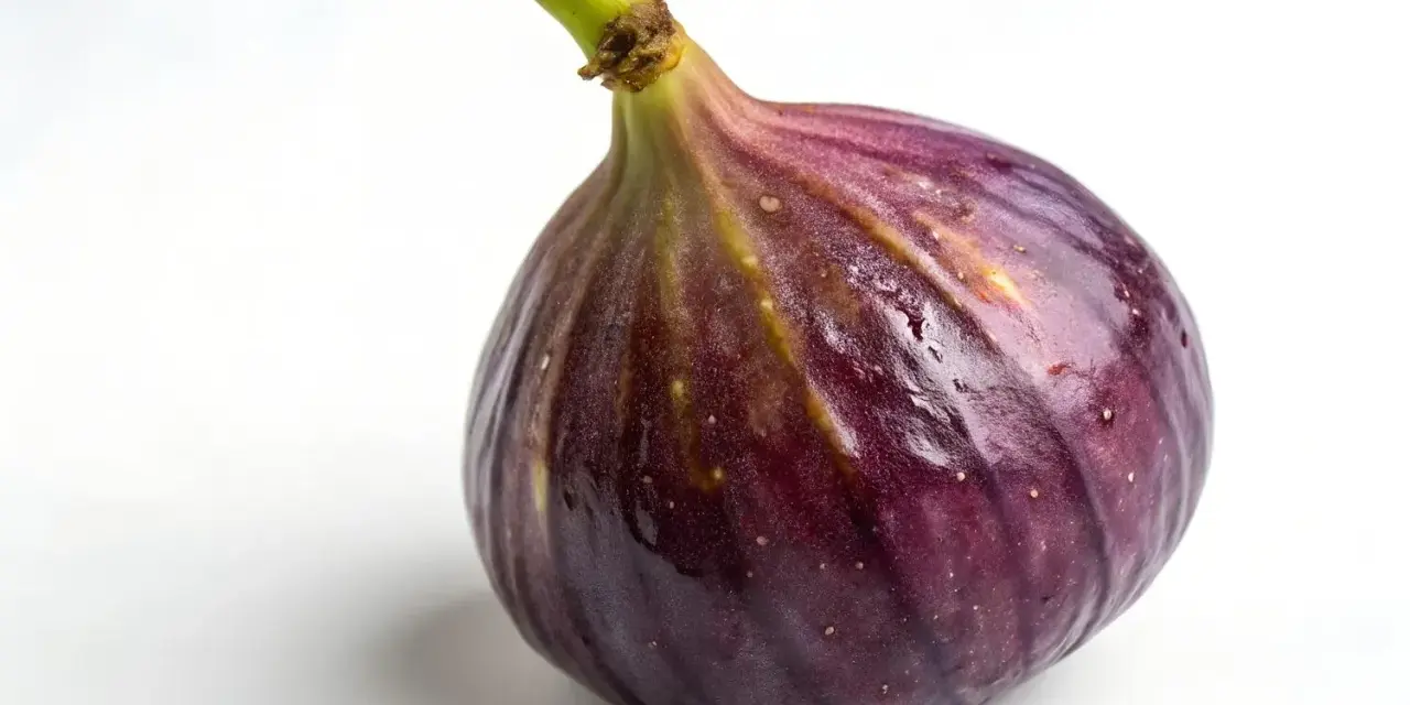 Un succoso fico viola, quasi come fichi in gravidanza, con goccioline d'acqua sulla buccia lucida.