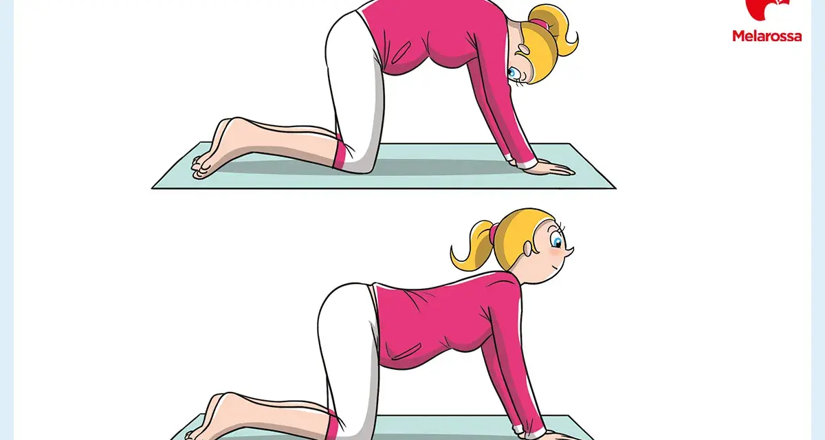 Donna incinta esegue posizioni di yoga in gravidanza: schiena inarcata e poi inarcata verso il basso, per rilassare la colonna vertebrale.
