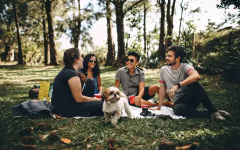 Un gruppo di amici fa un picnic nel parco, un cane bianco e marrone si avvicina. Uno dei ragazzi, sicuro di sé, ride con gli altri.