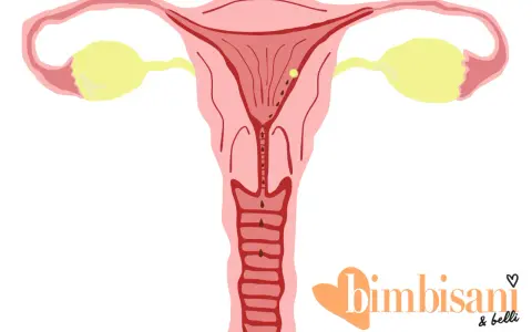 Utero con ovuli e piccole perdite marroni, possibili perdite da impianto quanti giorni prima del ciclo.