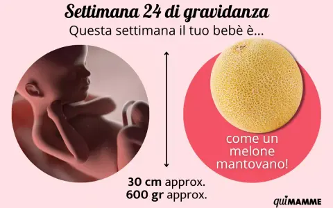 Bebè di 24 settimane di gravidanza, lungo 30 cm e pesante 600 gr, come un melone mantovano.