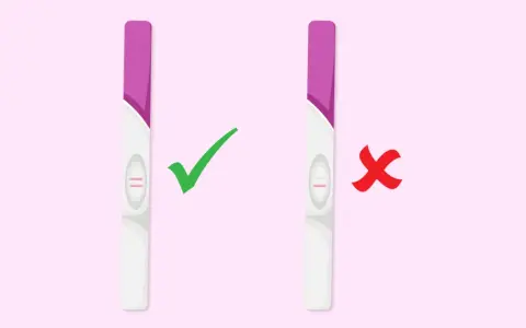 Test di gravidanza: due linee rosa indicano un risultato positivo, un metodo infallibile per capire se sei incinta. Una linea rosa indica un risultato negativo.