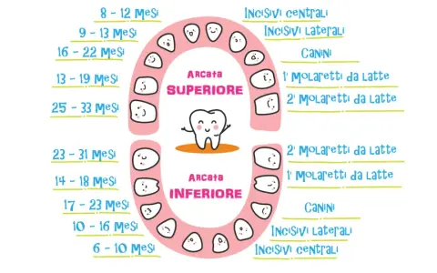 Schema dei tempi di caduta dei denti da latte, con arcate superiore e inferiore e dentini sorridenti.