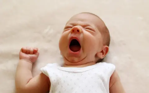 Un neonato sbadiglia profondamente, con gli occhi chiusi e la bocca spalancata, un momento di pura stanchezza prima di nuove finestre di veglia.