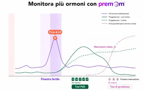 Grafico ormonale: picco LH, progesterone (incinta/non incinta) e hCG. Utile se il ciclo non arriva dopo il progesterone.