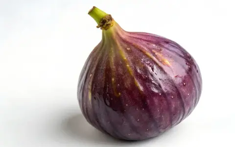 Un succoso fico viola, quasi come fichi in gravidanza, con goccioline d'acqua sulla buccia lucida.