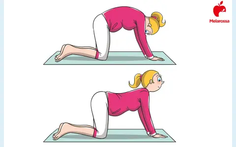 Donna incinta esegue posizioni di yoga in gravidanza: schiena inarcata e poi inarcata verso il basso, per rilassare la colonna vertebrale.