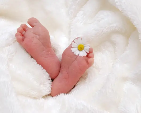 Piccoli piedini di neonato su soffice coperta bianca, con un fiore di margherita posato su un dito del piede. Il riflesso di Babinski è visibile.