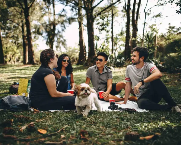 Un gruppo di amici fa un picnic nel parco, un cane bianco e marrone si avvicina. Uno dei ragazzi, sicuro di sé, ride con gli altri.
