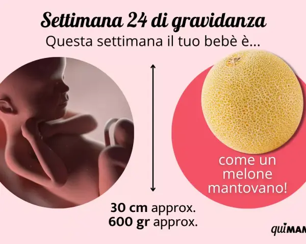 Bebè di 24 settimane di gravidanza, lungo 30 cm e pesante 600 gr, come un melone mantovano.
