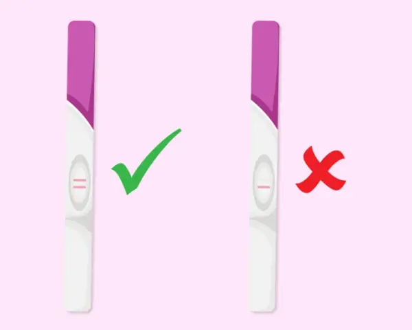 Test di gravidanza: due linee rosa indicano un risultato positivo, un metodo infallibile per capire se sei incinta. Una linea rosa indica un risultato negativo.