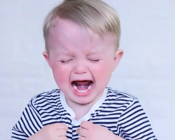 Bambino di 2 anni con capelli biondi, occhi chiusi e bocca spalancata in un pianto disperato, tipico dei capricci continui. Indossa una maglietta a righe.