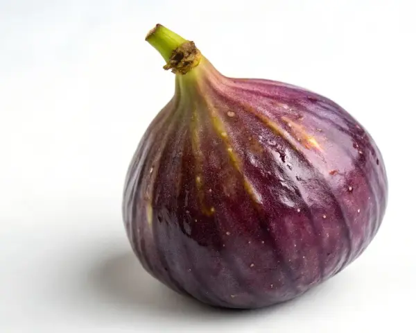 Un succoso fico viola, quasi come fichi in gravidanza, con goccioline d'acqua sulla buccia lucida.