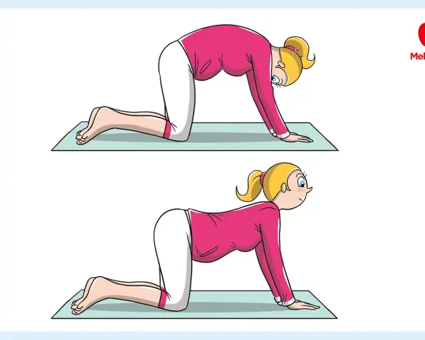 Donna incinta esegue posizioni di yoga in gravidanza: schiena inarcata e poi inarcata verso il basso, per rilassare la colonna vertebrale.