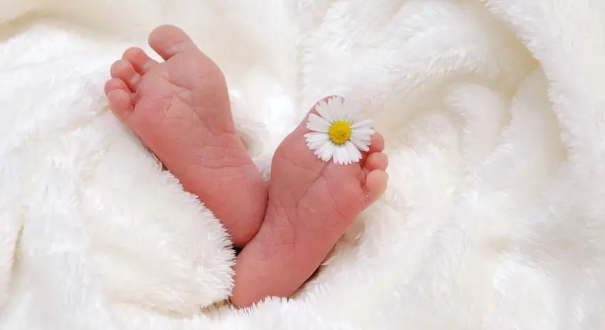 Piccoli piedini di neonato su soffice coperta bianca, con un fiore di margherita posato su un dito del piede. Il riflesso di Babinski è visibile.
