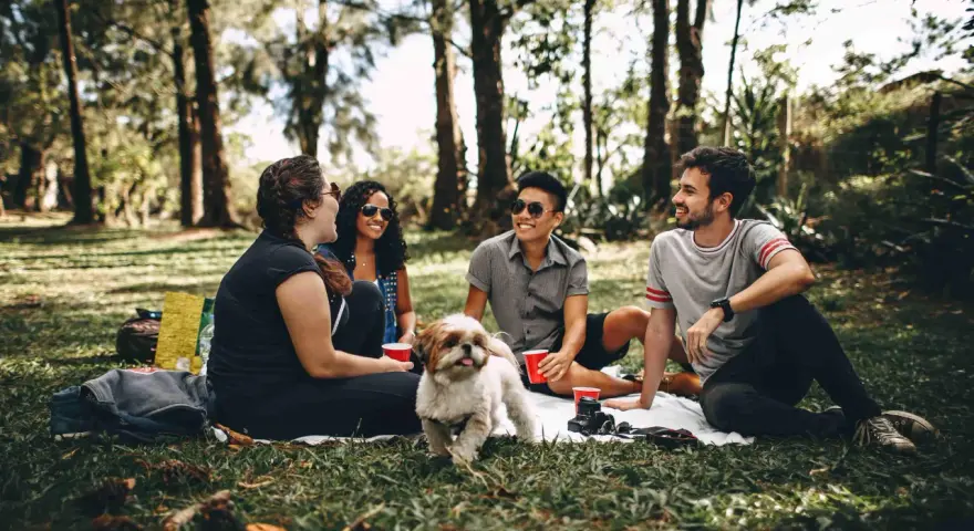 Un gruppo di amici fa un picnic nel parco, un cane bianco e marrone si avvicina. Uno dei ragazzi, sicuro di sé, ride con gli altri.