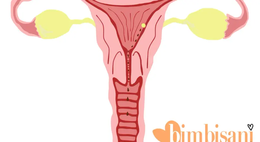 Utero con ovuli e piccole perdite marroni, possibili perdite da impianto quanti giorni prima del ciclo.