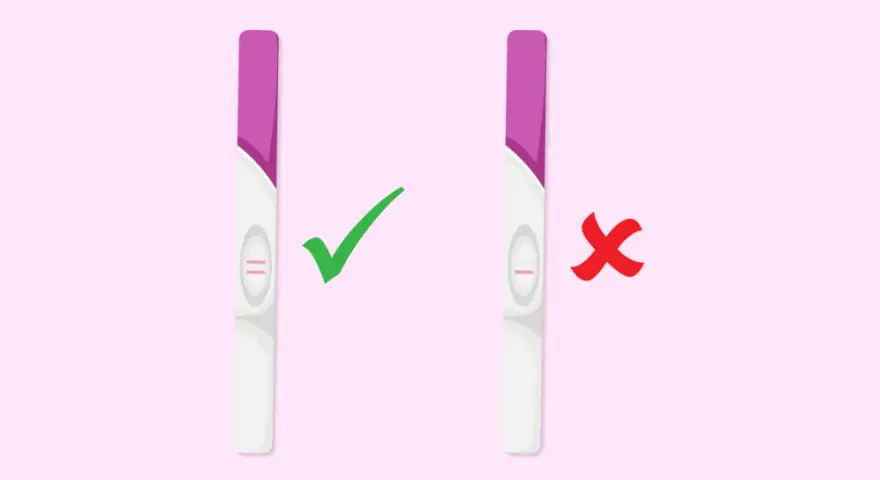 Test di gravidanza: due linee rosa indicano un risultato positivo, un metodo infallibile per capire se sei incinta. Una linea rosa indica un risultato negativo.
