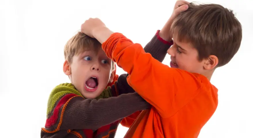 Due bambini che litigano, uno afferra i capelli dell'altro con espressione sorpresa e spaventata.