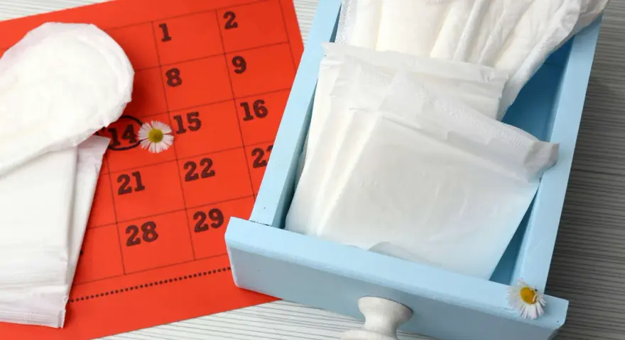 Calendario rosso con cerchiato il 14, assorbenti e fiori di campo. Nessun segno di sangue durante ovulazione incinta.