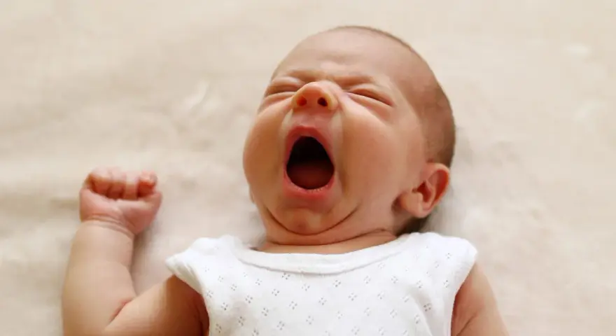 Un neonato sbadiglia profondamente, con gli occhi chiusi e la bocca spalancata, un momento di pura stanchezza prima di nuove finestre di veglia.