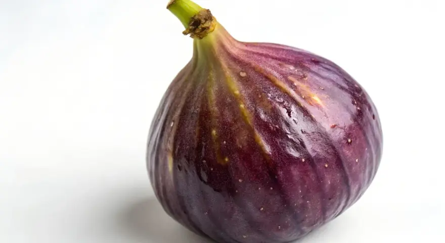 Un succoso fico viola, quasi come fichi in gravidanza, con goccioline d'acqua sulla buccia lucida.