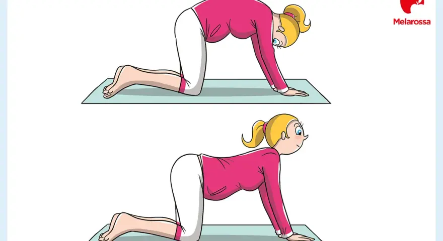 Donna incinta esegue posizioni di yoga in gravidanza: schiena inarcata e poi inarcata verso il basso, per rilassare la colonna vertebrale.