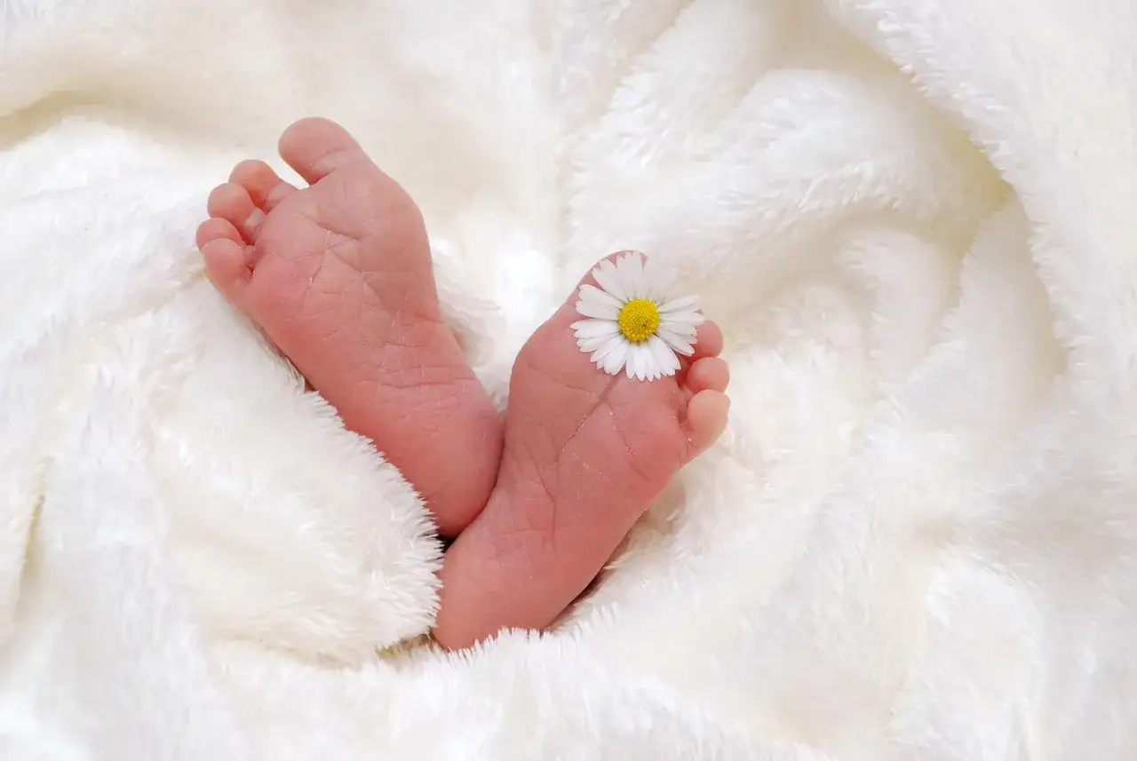 Piccoli piedini di neonato avvolti in una coperta bianca, con un fiore di margherita posato su un dito. Il riflesso di Babinski è visibile.