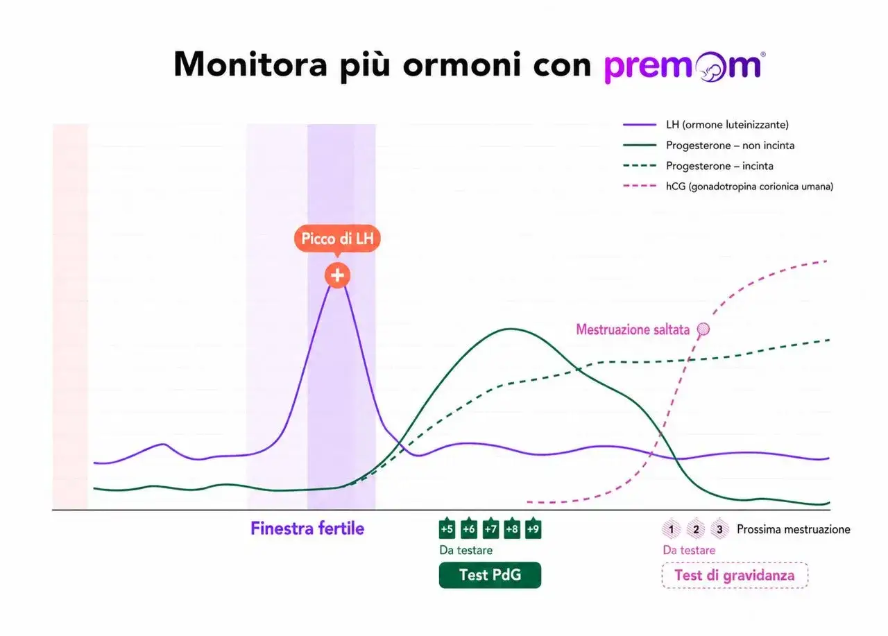 Grafico ormonale: picco LH, progesterone (incinta/non incinta) e hCG. Utile se il ciclo non arriva dopo il progesterone.