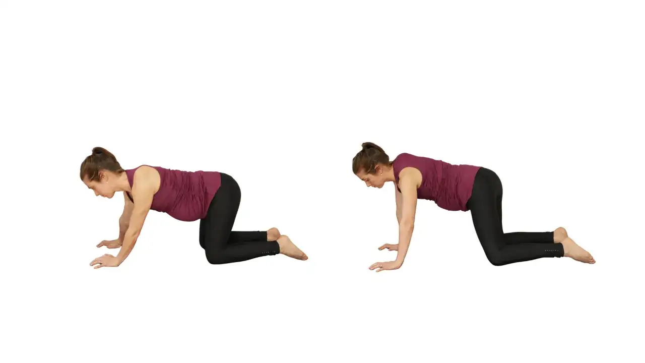 Donna incinta esegue esercizi di pilates in quadrupedia, mostrando due posizioni per la schiena.